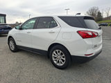 Used 2021 Chevrolet Equinox LT image 4