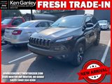Used 2018 Jeep Cherokee Trailhawk w/ Cold Weather Group image 3