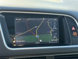 Used 2017 Audi SQ5 Prestige image 6