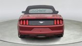 Used 2015 Ford Mustang Premium w/ Ecoboost Performance Package image 4
