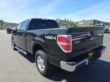 Used 2013 Ford F150 XLT w/ Mid Equipment Group image 6