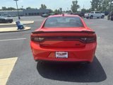 Used 2023 Dodge Charger GT w/ Blacktop Special Edition image 5