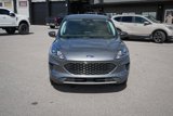 Used 2022 Ford Escape SE image 2