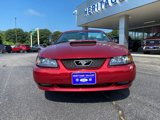 Used 2003 Ford Mustang GT image 2