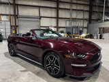Used 2018 Ford Mustang Premium w/ Equipment Group 201A image 6