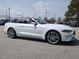 Certified 2019 Ford Mustang Premium w/ Pony Package image 2