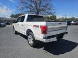 Used 2019 Ford F150 Platinum w/ Equipment Group 701A Luxury image 5