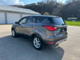 Used 2019 Ford Escape SE image 3