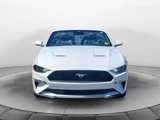 Used 2021 Ford Mustang Premium image 2
