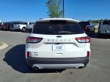 Used 2022 Ford Escape SEL image 4
