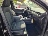 New 2025 Ford Escape Active w/ Cold Weather Package image 5