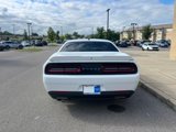 Used 2019 Dodge Challenger SXT image 3