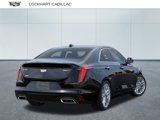 New 2025 Cadillac CT4 Premium Luxury image 4