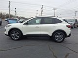 New 2025 Ford Escape ST-Line w/ Tech Pack #1 image 4