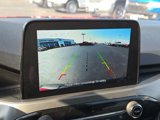 Used 2024 Ford Escape Active w/ Cold Weather Package image 3