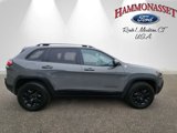 Used 2019 Jeep Cherokee Trailhawk image 2