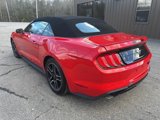 Used 2022 Ford Mustang Premium image 4