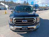 Used 2021 Ford F150 XLT w/ Equipment Group 302A High image 2