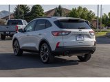 Used 2022 Ford Escape SE w/ SE Sport Appearance Package image 5