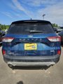 Used 2020 Ford Escape SE image 2