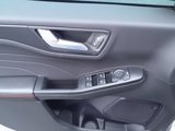 Used 2024 Ford Escape ST-Line w/ Tech Pack #1 image 3