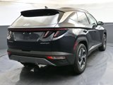 Used 2024 Hyundai Tucson Limited image 5