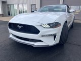 Used 2022 Ford Mustang Premium w/ Equipment Group 201A image 5