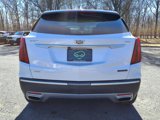 Used 2021 Cadillac XT5 Premium Luxury image 5
