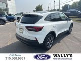 Used 2025 Ford Escape ST-Line w/ Tech Pack #1 image 3