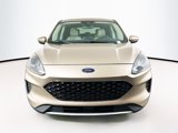 Used 2020 Ford Escape SE image 2