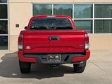Used 2020 Toyota Tacoma TRD Sport image 6