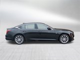 Certified 2022 Cadillac CT5 Premium Luxury image 4