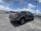 Used 2013 Ford F150 Platinum image 3