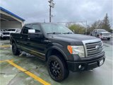 Used 2009 Ford F150 Platinum image 5