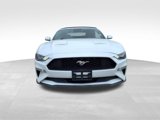 Used 2019 Ford Mustang Premium w/ Equipment Group 201A image 4