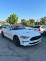 Used 2021 Ford Mustang Premium image 3