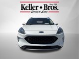 Used 2020 Ford Escape Titanium image 2
