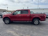 Used 2019 Ford F150 XLT w/ Equipment Group 302A Luxury image 6