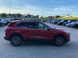 Used 2021 Ford Escape Titanium w/ Titanium Premium Package image 4