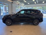 Used 2025 BMW X5 xDrive40i w/ Executive Package image 5