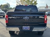 Used 2022 Ford F150 XLT w/ Equipment Group 301A Mid image 4