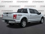 Used 2016 Ford F150 XLT w/ Equipment Group 302A Luxury image 5