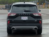 Used 2020 Ford Escape SE image 4