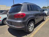 Used 2017 Volkswagen Tiguan Limited w/ Premium Package image 4