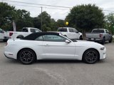 Used 2023 Ford Mustang Premium image 2