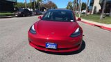 Used 2019 Tesla Model 3 Standard Range Plus image 3