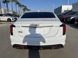 Used 2024 Cadillac CT5 Luxury image 6