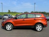 Used 2019 Ford Escape S image 5