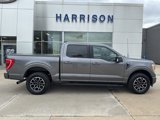 Used 2021 Ford F150 XLT w/ Equipment Group 302A High image 5