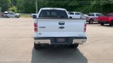 Used 2014 Ford F150 XLT w/ Equipment Group 302A Luxury image 4